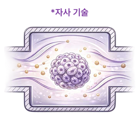 4D 동적 배양