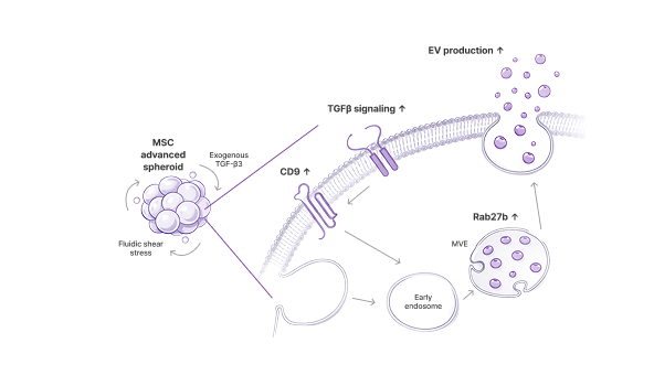 Publications Image